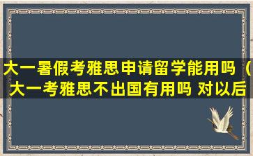 大一暑假考雅思申请留学能用吗（大一考雅思不出国有用吗 对以后职业发展有什么用途）
